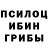 Галлюциногенные грибы мицелий Aleksandr Luzynin