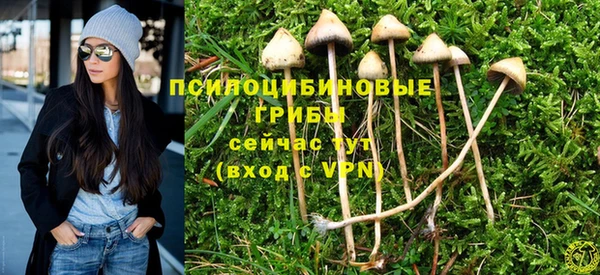 скорость Осинники